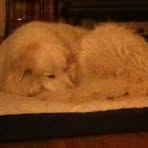 Bo N Annabelle Robbins - Facebook