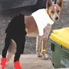 annabelsimmons39 - @annabelsimmons39 - TikTok