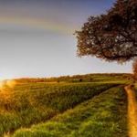 Annabel - @annabel.taylor_ - Instagram