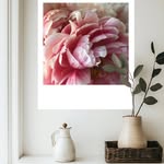 Wall Murals | Photo Art Prints | Annabel Taylor - @annabeltaylorhome_ - Instagram