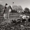 Annabel Young - @annabelyoung0 - TikTok