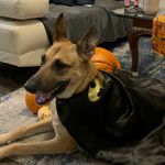 Annabelle Marie Morton - @annabelle_andthe_ball - Instagram