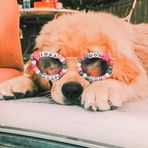 Annabelle Bonner - Facebook