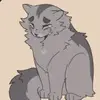 Leopard'Star_Wcue - @annabelleboudreau83 - TikTok