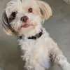 YOLO MAN SMOI ANNA🤭✌🏻😏 - @annabelle.boudreau - TikTok