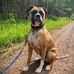 Annabelle Brown - Facebook