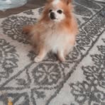 Annabella Burns - Facebook