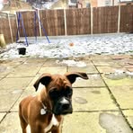 Annabelle Burns - Facebook