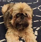 Annabelle Burns - Facebook