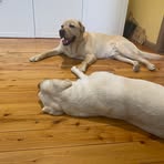 Annabelle Burns - Facebook