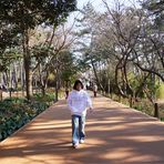 Annabelle Chan - Facebook
