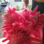 Belle Caffe - Facebook