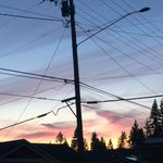 @annabelle_hoffman_art - Instagram