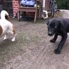 _annabellehurst_ - @_annabellehurst_ - TikTok