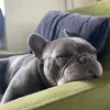 Annabelleach - @annabelleach10 - TikTok