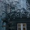 Annabel Moore - @user5515204881847 - TikTok