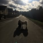 annabelle moser - @moser4133 - Instagram