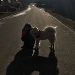 Annabelle Moser - @moser5407 - Instagram