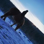 annabelle27 - @ottoannabelle - Instagram