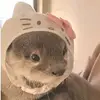 🎀!𝒂𝒏𝒏𝒂𝒃𝒆𝒍𝒍𝒆!🎀 - @annabellewhite45 - TikTok