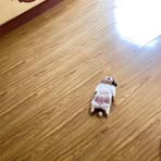Annabelle Yang - Facebook
