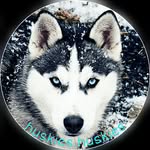 💟Annabeth Thomas💟 - @huskies.huskies - Instagram
