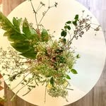 Annah Lee - @farmforaged - Instagram