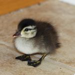 Annah Lewis - @annahshutterbug - Instagram