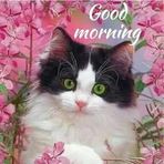 Annah Paul - Facebook
