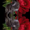Anna Shoffner176 - @annashoffner176 - TikTok