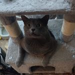 Annalee Boyer - @poisonivy8783 - Instagram