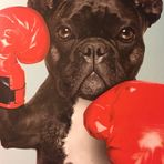 Annalee Brady - Facebook