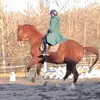 Anna - @annaleebrown4200 - TikTok