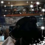 Annalee Brown-Burnor - @annalee2455 - Instagram