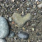 Annalee Dunn - @serendipidousheart - Instagram