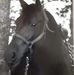 Annalee Hill - Facebook
