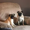 annaleejohnson - @annaleejohnson808808 - TikTok