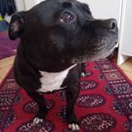 Anne-Lee Larsson - Facebook