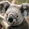 Annalee Mitchell983 - @annalee_12 - TikTok