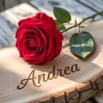 Anali Ramirez - Facebook