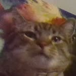 Annalee Rose Wallach - @peanuts_cat62 - Instagram