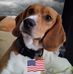 Annalisa Carter - Facebook