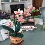 Annamaria Gorini - Facebook