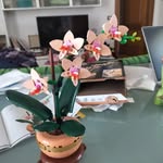AnnaMaria Gorini - @gorini.annamaria - Instagram