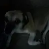 Anna Maria Izzo - @anna.maria.izzo6 - TikTok