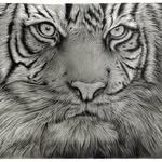Anne Adam | Artist - @anneadam_fineart - Instagram