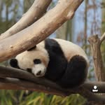 @_anne_ahn - Instagram
