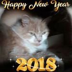 Anne Appleby - @appleby6853 - Instagram