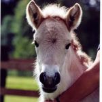 Anne Appleby - @anappleby - Instagram