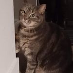Anne Archambault - @archambault8632 - Instagram